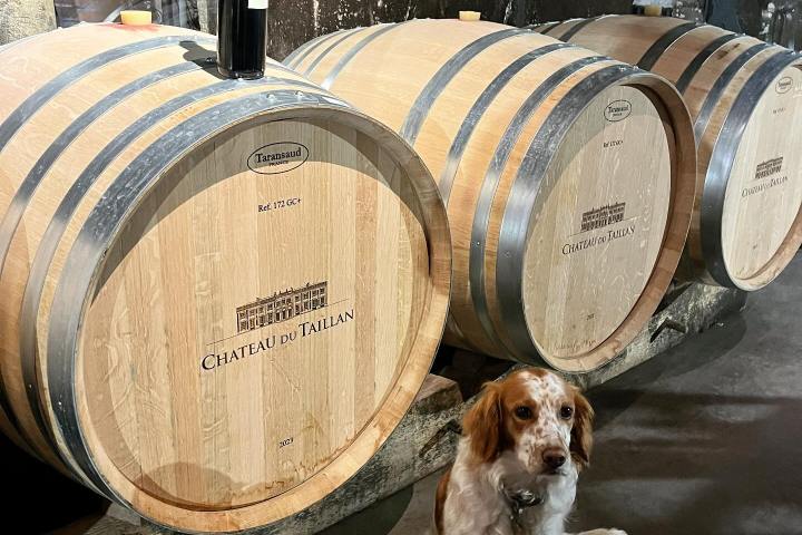 Bordeaux Vertical Wine Experience