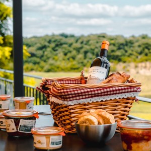 Bordeaux Winemaker's Picnic