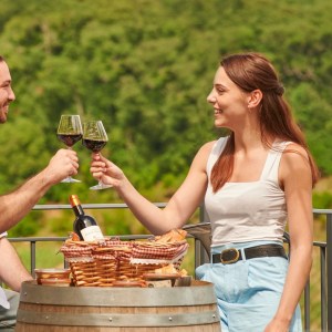 Bordeaux Winemaker's Picnic