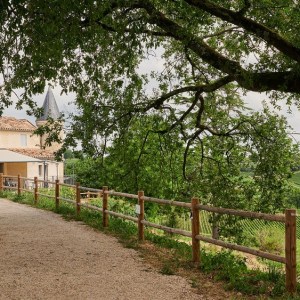Bordeaux Winemaker's Picnic