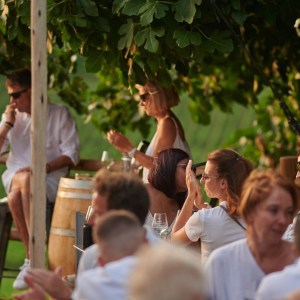 Bordeaux Winemaker's Picnic