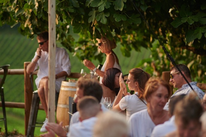 Bordeaux Winemaker's Picnic