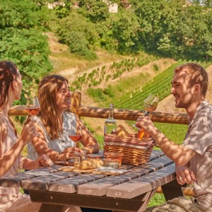Bordeaux Winemaker's Picnic