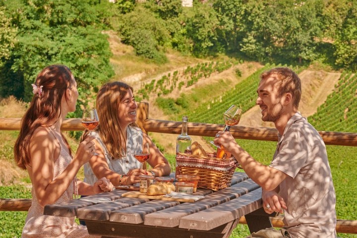 Bordeaux Winemaker's Picnic