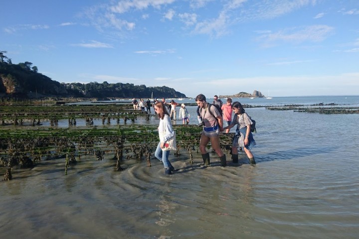 Cancale Oyster Farm Walking Experience7