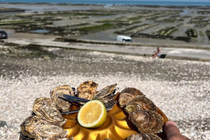 Cancale Oyster Farm Walking Experience7
