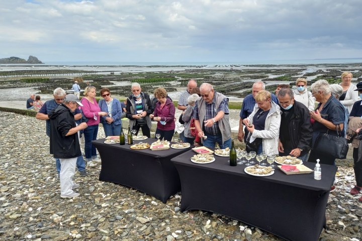 Cancale Oyster Farm Walking Experience7