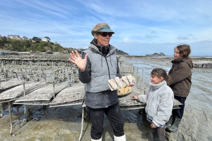 Cancale Oyster Farm Walking Experience7