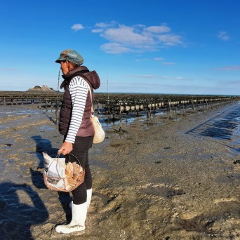Cancale Oyster Farm Walking Experience7