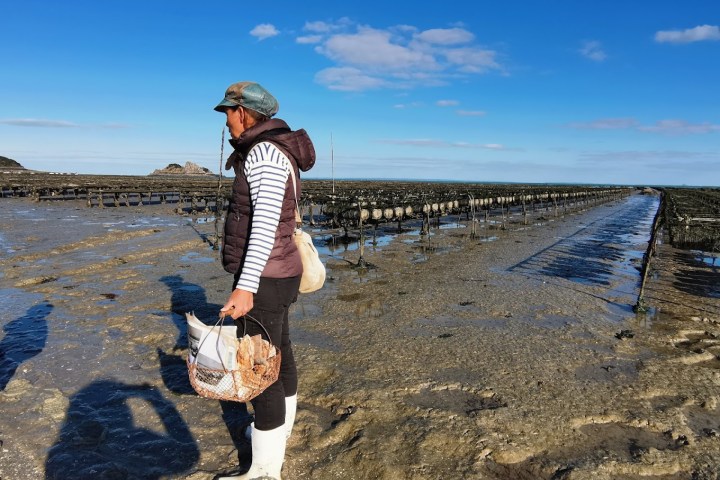 Cancale Oyster Farm Walking Experience7
