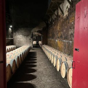 Bordeaux Vertical Wine Experience