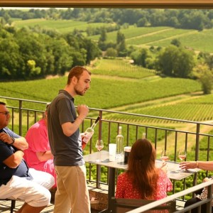 5 Wine Tasting at the Cellar Door Experience