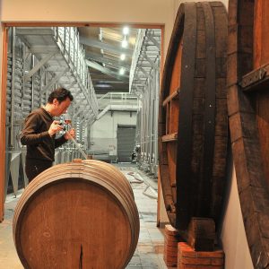 Provence Immersive Wine Experience