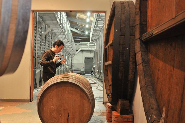 Provence Immersive Wine Experience