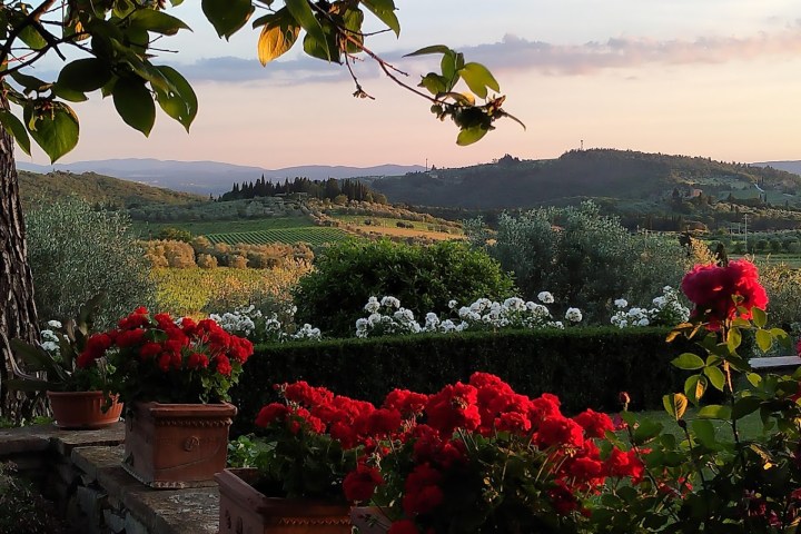 Tuscany Wine Tasting Experience