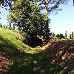 Visite Nature & Terroir Experience