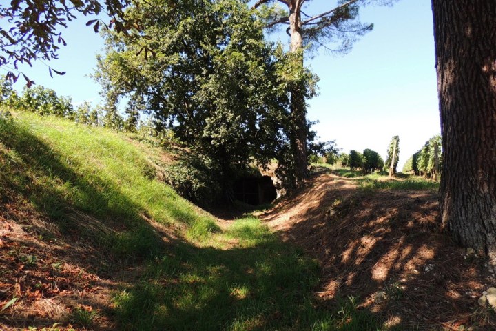 Visite Nature & Terroir Experience