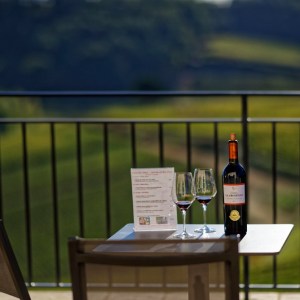 5 Wine Tasting at the Cellar Door Experience