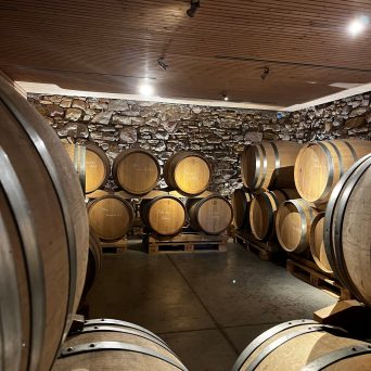 Discovery & Tasting Alsace Wine