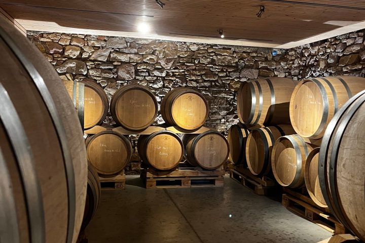 Discovery & Tasting Alsace Wine