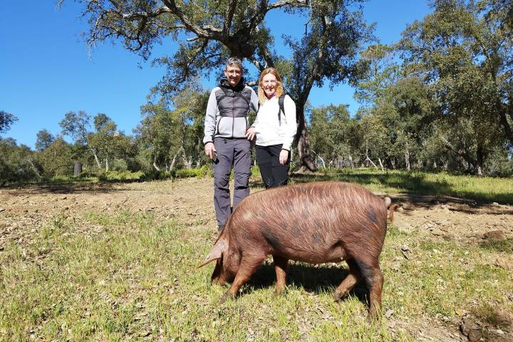 Iberian Pig Farm & Ham Tasting Tour