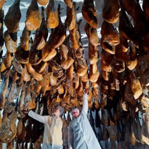 Iberian Pig Farm & Ham Tasting Tour