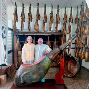 Iberian Pig Farm & Ham Tasting Tour
