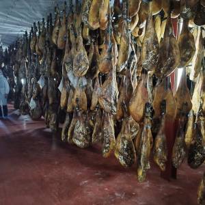 Iberian Pig Farm & Ham Tasting Tour