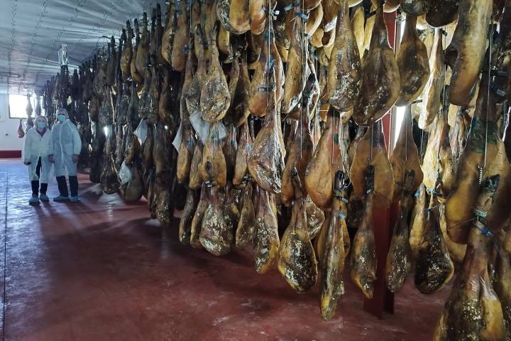 Iberian Pig Farm & Ham Tasting Tour