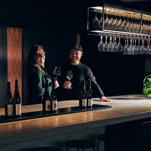 Alsace Vintage Wine Tasting Experience