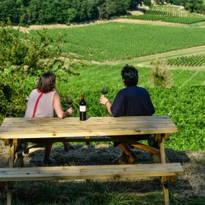 Winemaker's Picnic & Visit Experience