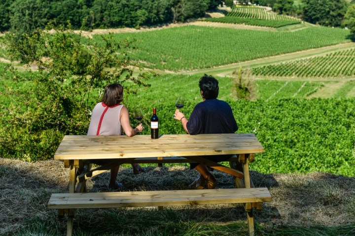 Winemaker's Picnic & Visit Experience