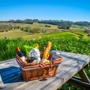 Winemaker's Picnic & Visit Experience
