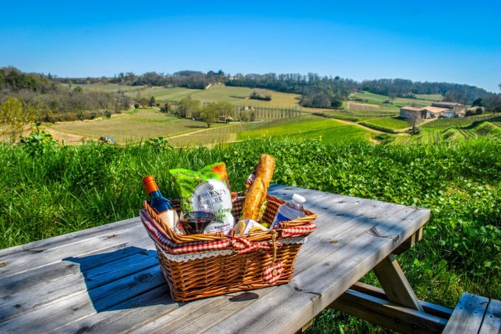 Winemaker's Picnic & Visit Experience