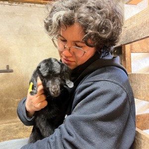 Provence Wine & Goat Cheese Tour