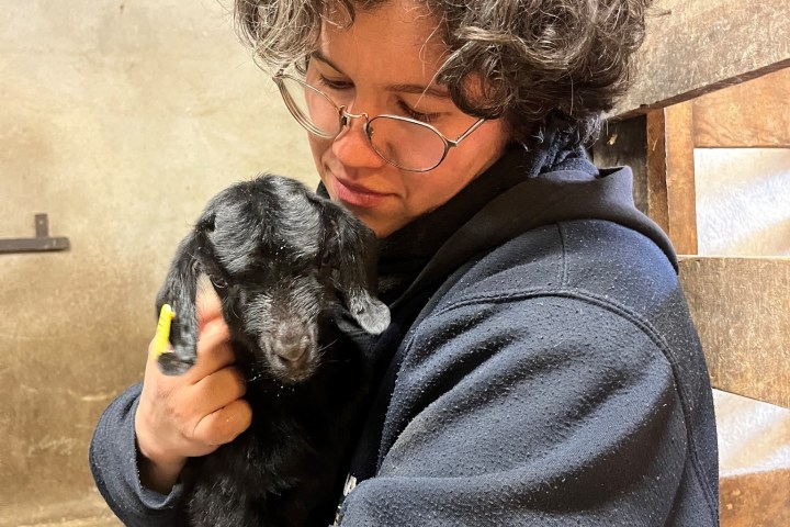 Provence Wine & Goat Cheese Tour