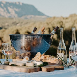 Provence Wine & Goat Cheese Tour