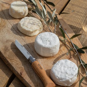 Provence Wine & Goat Cheese Tour
