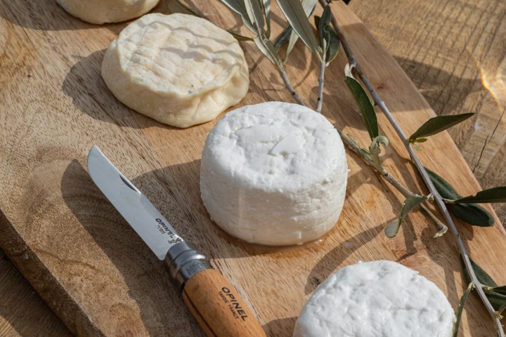 Provence Wine & Goat Cheese Tour