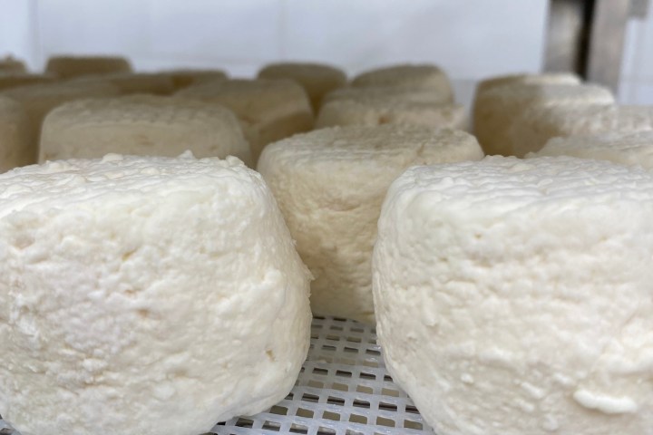 Provence Wine & Goat Cheese Tour