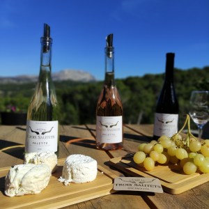 Provence Wine & Goat Cheese Tour