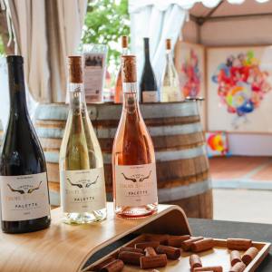 Provence Wine & Goat Cheese Tour