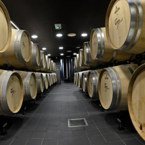 Discovery Visit & Wine Tasting Experience