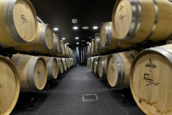 Discovery Visit & Wine Tasting Experience