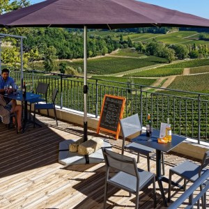 Discovery Visit & Wine Tasting Experience