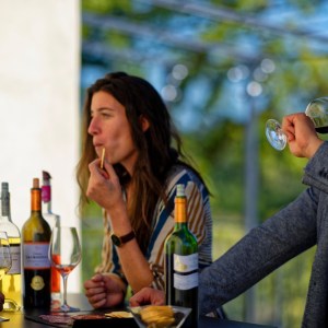 Discovery Visit & Wine Tasting Experience