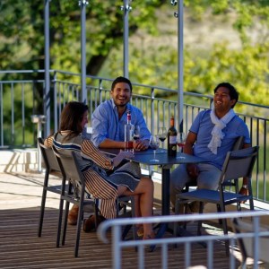 Winemaker's Picnic & Visit Experience