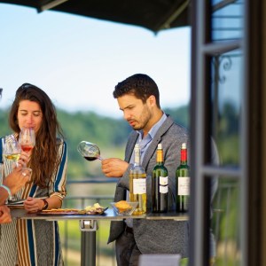 Winemaker's Picnic & Visit Experience