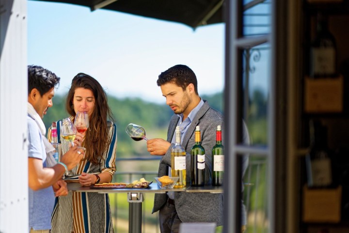 Winemaker's Picnic & Visit Experience