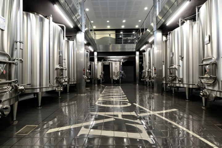 Winemaker's Picnic & Visit Experience